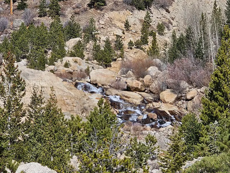 A mountain stream tumbling over granite boulders between pines